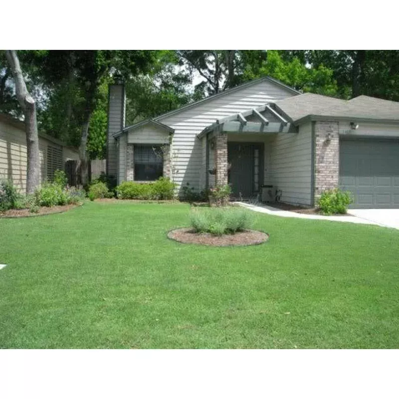 (Crop Failure 2026) Mohawk Bermuda Grass Seed