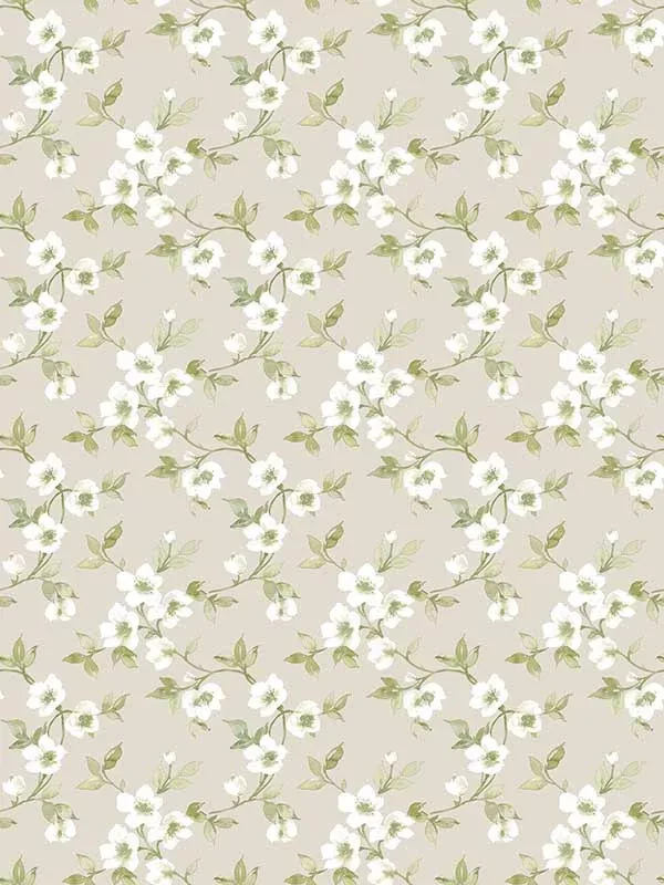 Galerie G78488 Anenome Mini Taupe Green Wallpaper