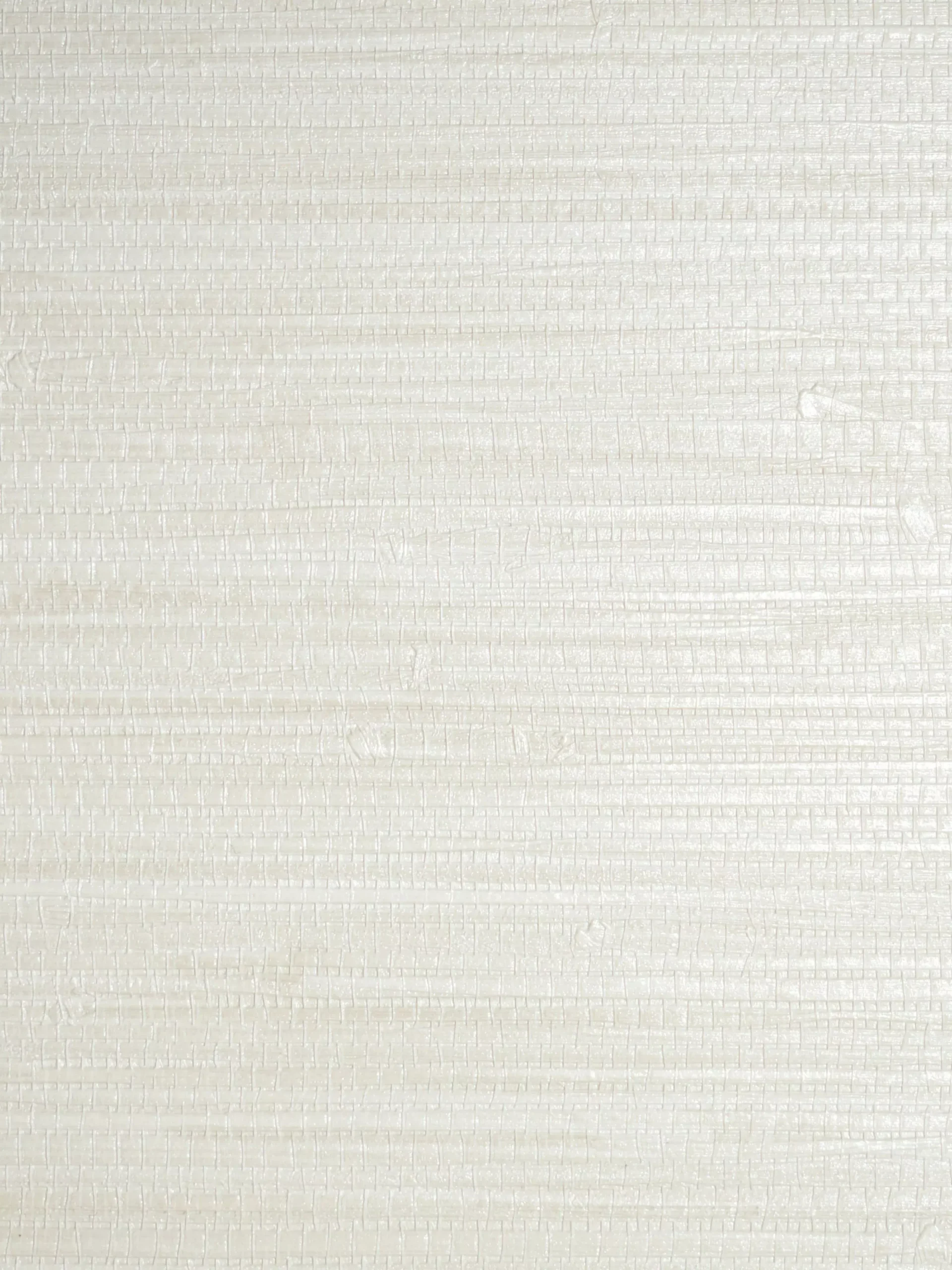 Scalamandre SC 0000WP88438 Pampas Whitewash Wallpaper