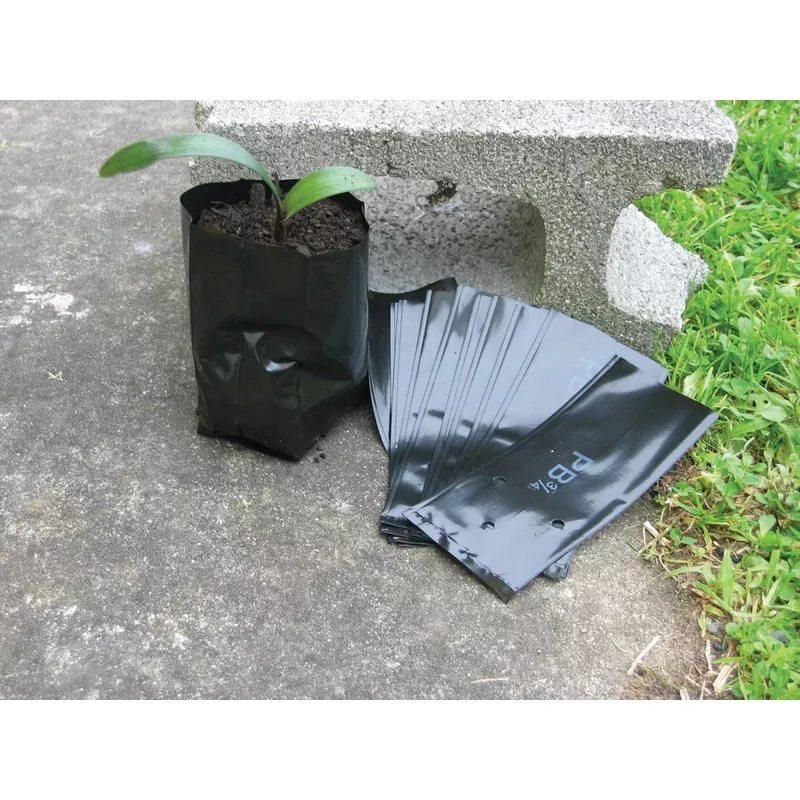 (x100) Planter Bags – PB 5